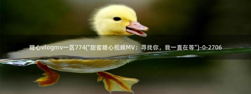 糖心都有谁