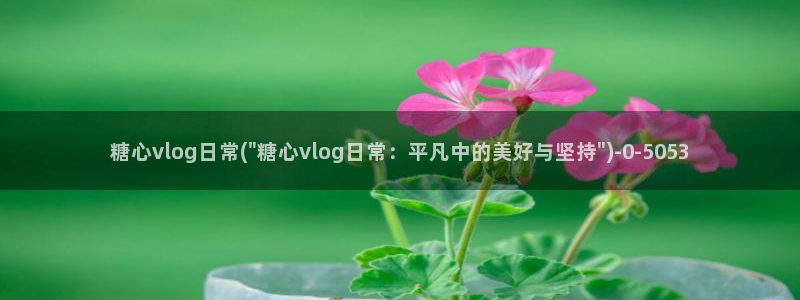 糖心最新版本：糖心vlog日常(\